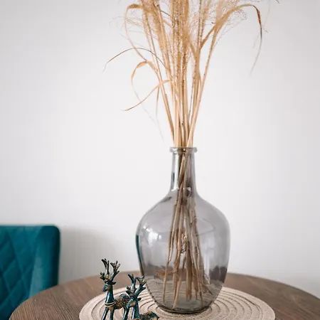 Geri Mini Διαμέρισμα Zalaegerszeg