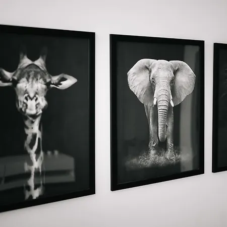 Geri Mini * Zalaegerszeg