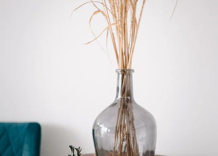 Geri Mini 公寓 佐洛埃格塞格