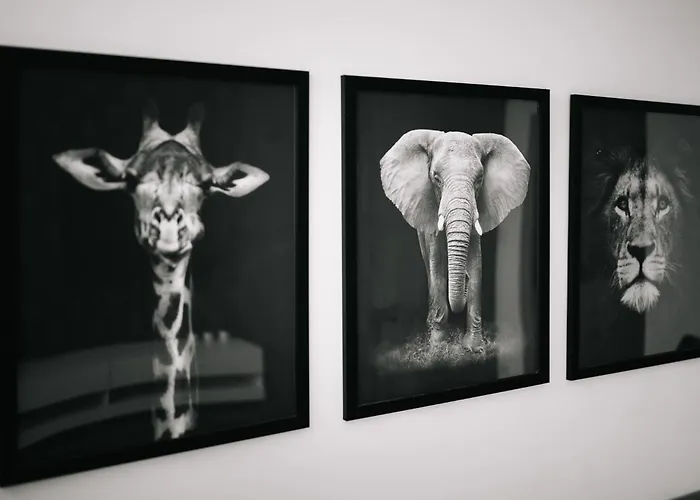 Geri Mini * 절러에게르세그